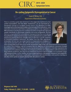 De-Coding Epigenetic Dysregulation in Cancer. Paula M. Vertino, PhD, Department of Biomedical Genetics
