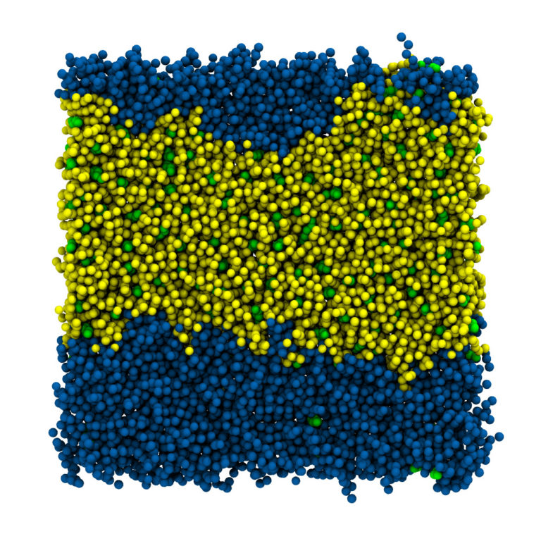 DAPC Phase Separation