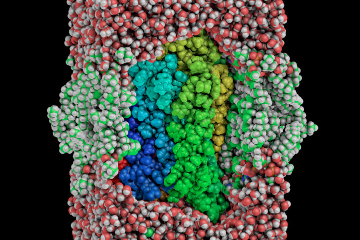 B2AR MD Simulation Model